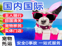 大同云冈空运国际宠物托运 【国